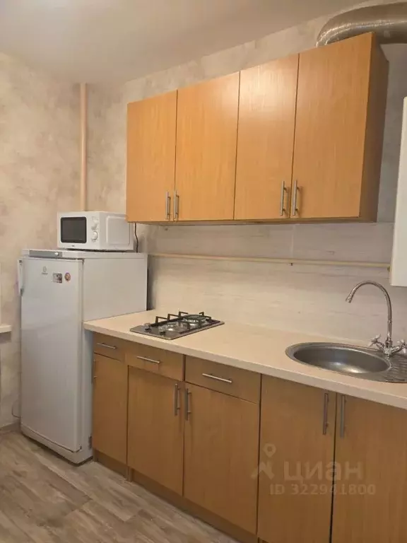 1-к кв. Санкт-Петербург, Санкт-Петербург, Красное Село ул. ... - Фото 1