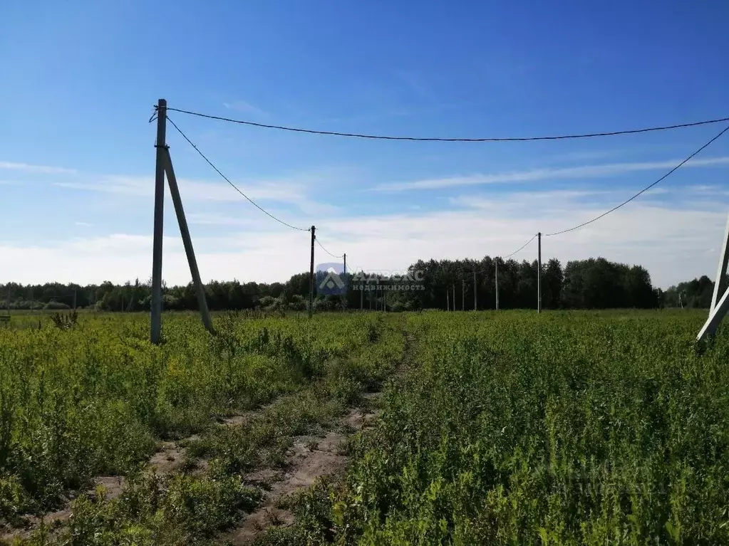 Участок в Московская область, Одинцовский городской округ, д. ... - Фото 1