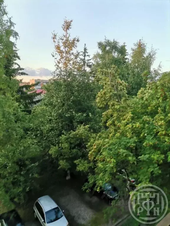 2-к кв. Ленинградская область, Сланцы ул. Максима Горького, 20а (47.0 ... - Фото 1