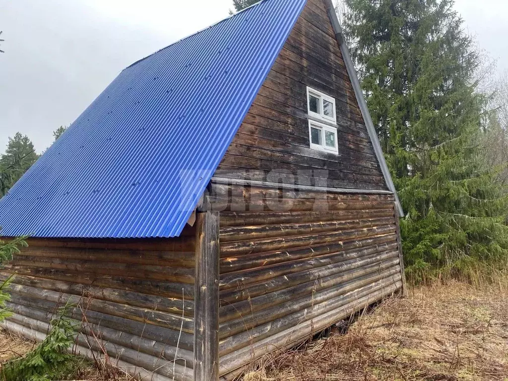 Участок в Вологодская область, Сокольский муниципальный округ, д. ... - Фото 2