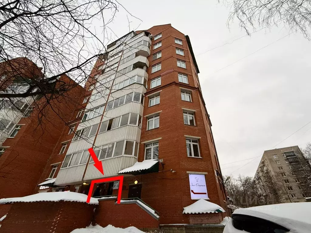 Помещение свободного назначения в Санкт-Петербург Гаврская ул., 15 (55 ... - Фото 1