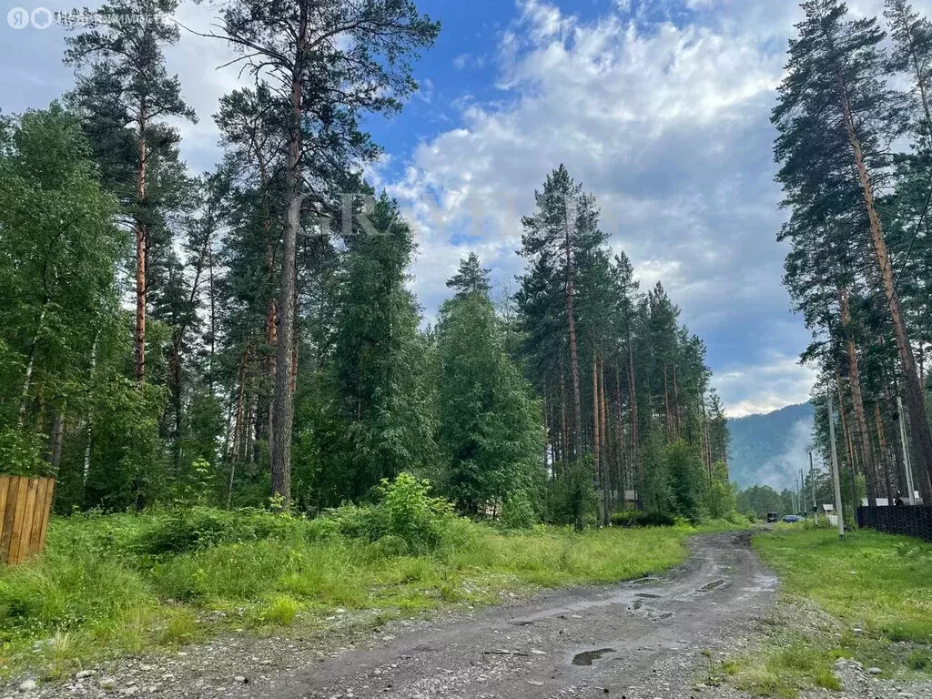 Участок в Чемальский район, посёлок Усть-Сема (10 м) - Фото 0