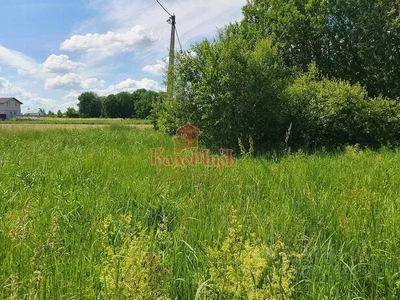 Участок в Московская область, Дмитровский муниципальный округ, пос. ... - Фото 2