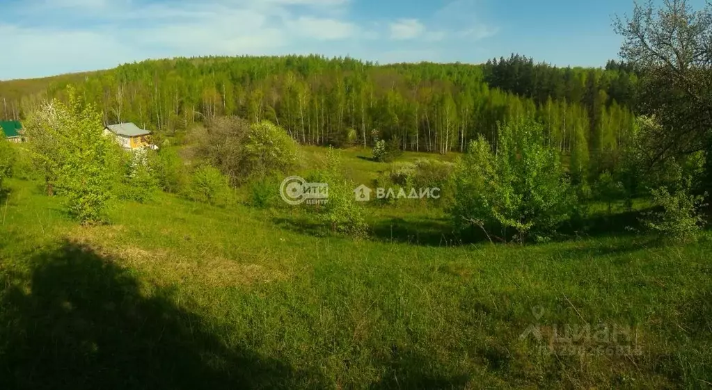 Участок в Липецкая область, Хлевенский район, с. Ворон-Лозовка ул. ... - Фото 1