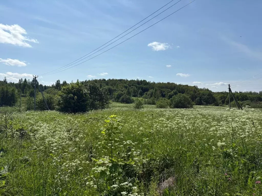 Участок в Ярославская область, Переславль-Залесский муниципальный ... - Фото 2