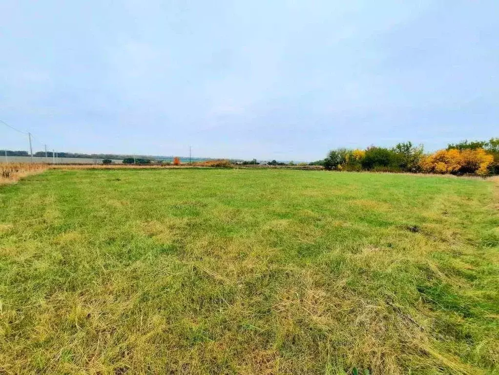 Участок в Белгородская область, Белгородский район, Бессоновское ... - Фото 1