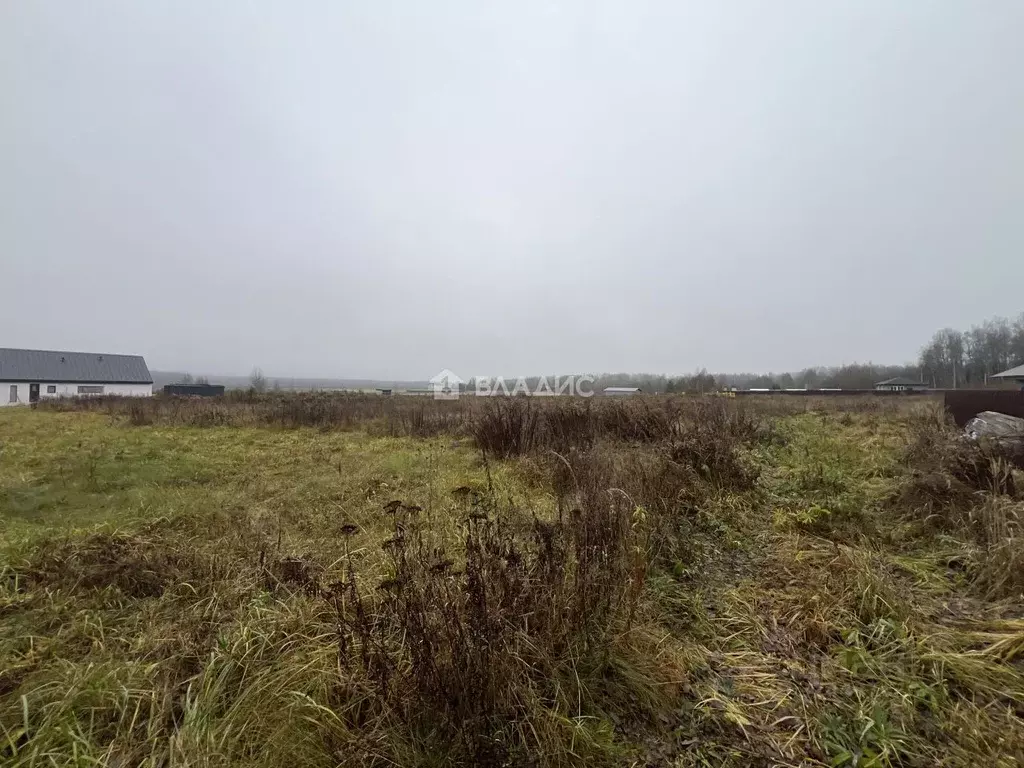 Участок в Владимирская область, Судогодский район, с. Чамерево  (15.0 ... - Фото 2