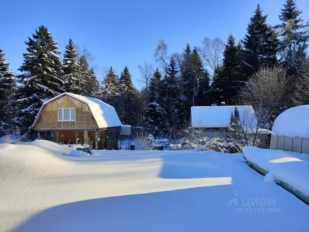 Участок в Ленинградская область, Волосовский район, Клопицкое с/пос, ... - Фото 1