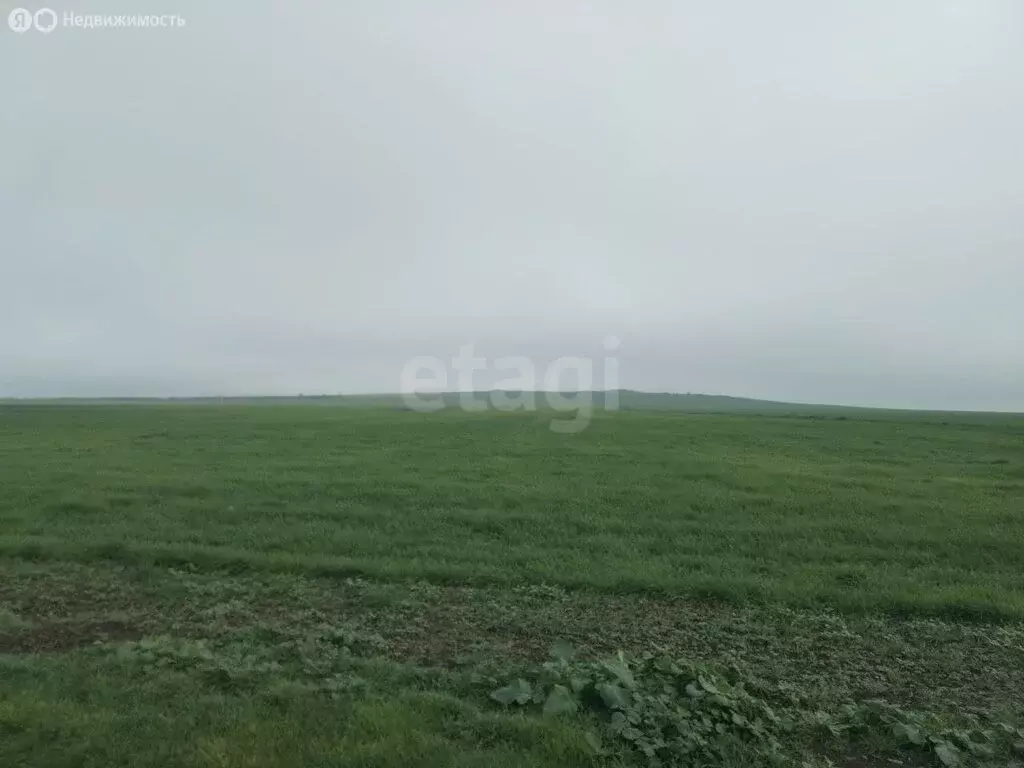 Участок в Каменское, улица Юго-восточная часть (6 м) - Фото 2