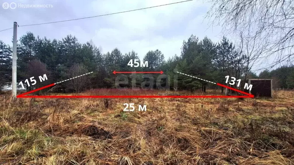 Участок в Владимирская область, Камешковский муниципальный округ, село ... - Фото 1