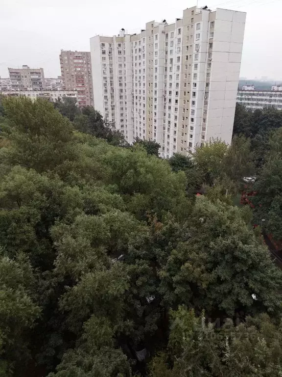 Комната Москва Бакинская ул., 23 (23.0 м) - Фото 0