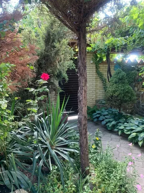 Дом в село Витязево, Курганная улица (183 м) - Фото 1
