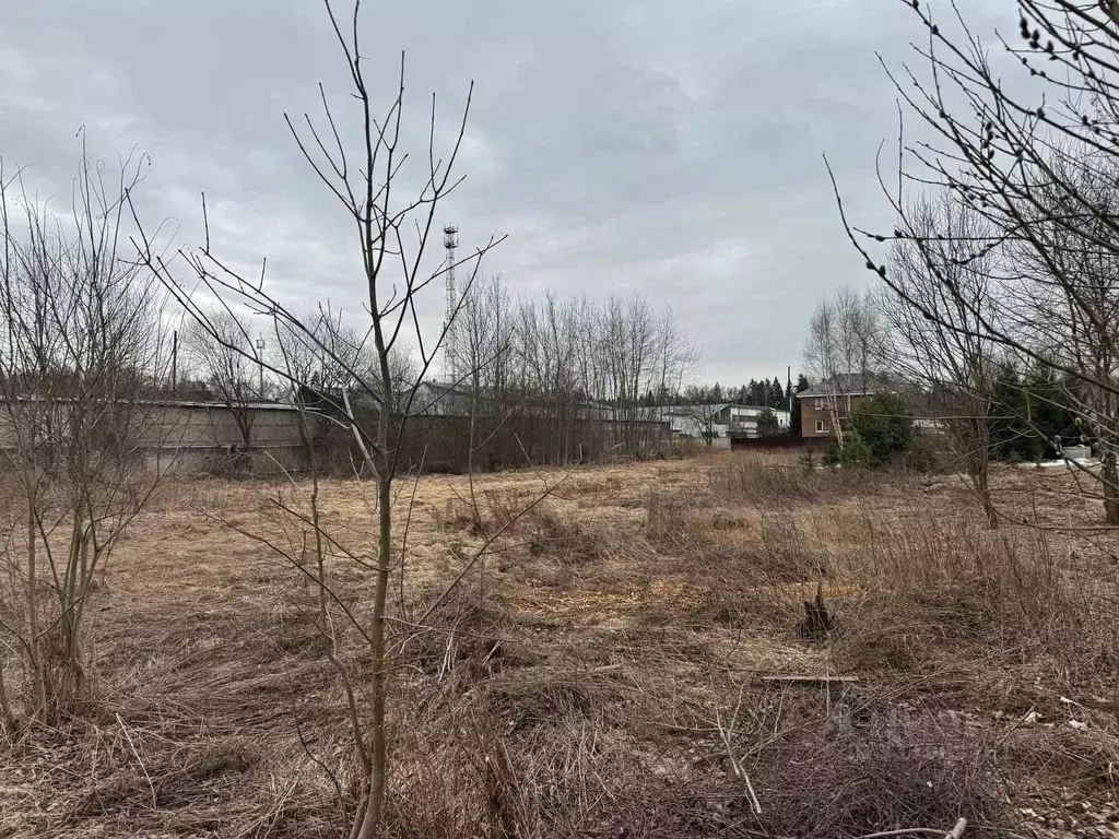 Участок в Московская область, Богородский городской округ, д. Молзино  ... - Фото 0