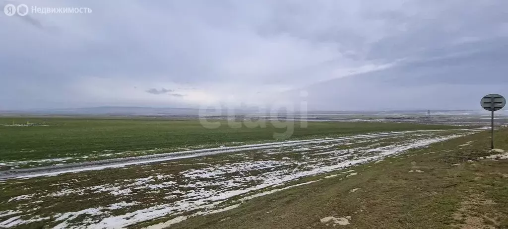 Участок в Владиславовка, Виноградная улица (302.31 м) - Фото 2