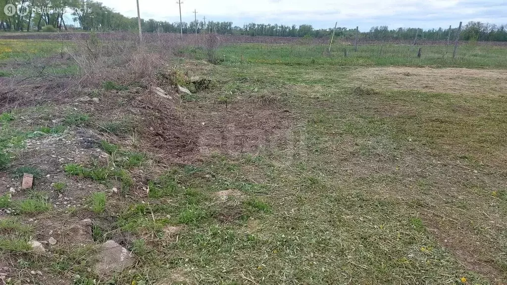 Участок в Липецкая область, Лебедянский муниципальный округ, посёлок ... - Фото 1