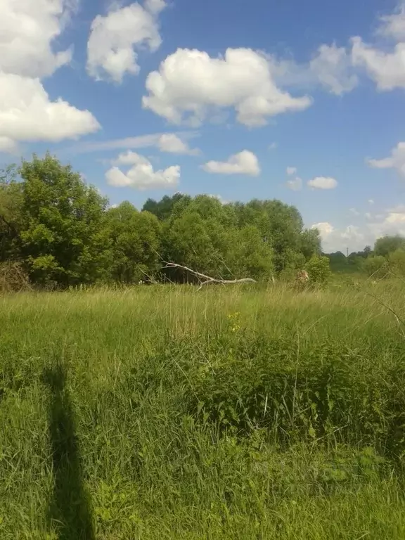Участок в Рязанская область, Шиловский район, Тимошкинское с/пос  ... - Фото 1