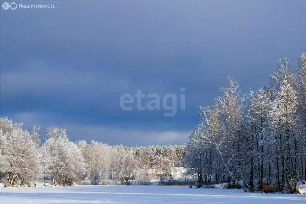 Участок в Ярославский муниципальный округ, деревня Худково (27.5 м) - Фото 2