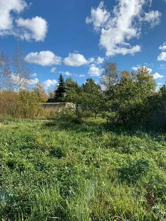 Участок в Новгородская область, Новгородский район, Панковское ... - Фото 0