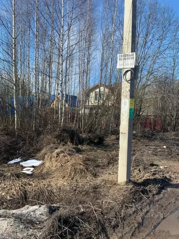 Участок в Ленинградская область, Всеволожский район, Рахья рп ул. ... - Фото 0