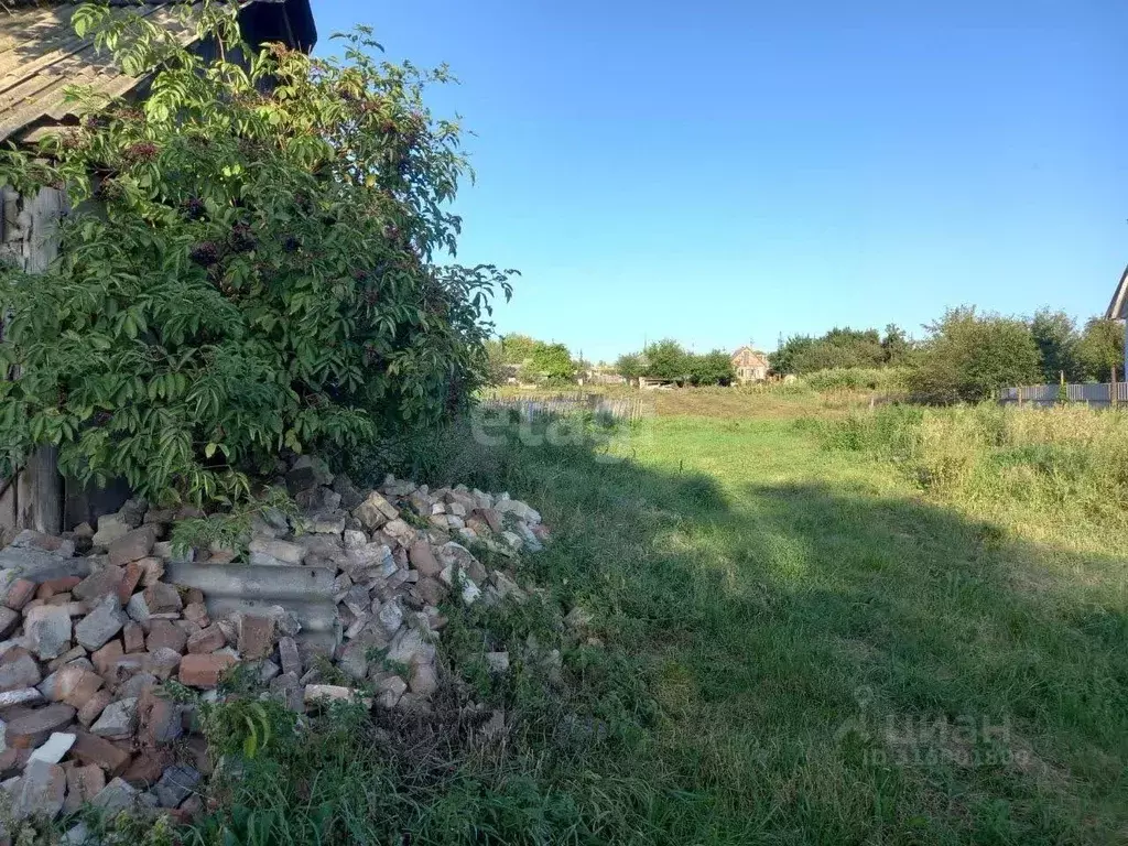 Дом в Белгородская область, Волоконовка рп ул. Гагарина, 37 (31 м) - Фото 0