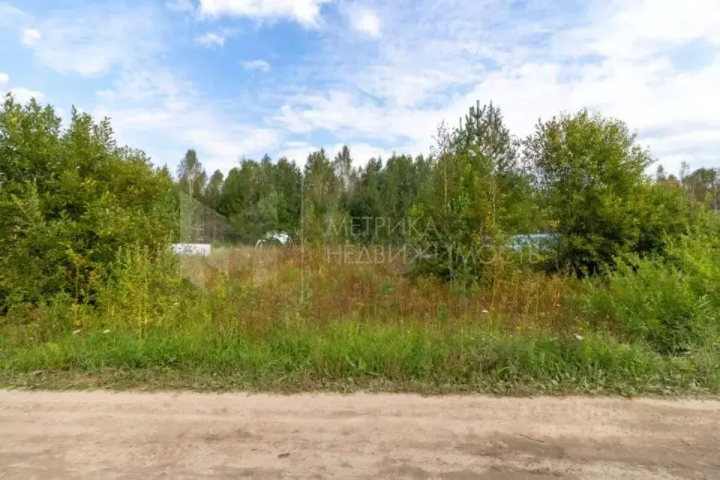 Участок в Тюменская область, Нижнетавдинский муниципальный округ, ... - Фото 1