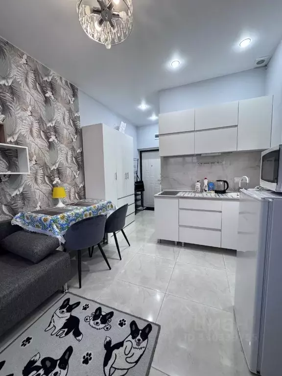 Студия Краснодарский край, Сочи ул. Тимирязева, 53Г/1 (25.0 м) - Фото 2