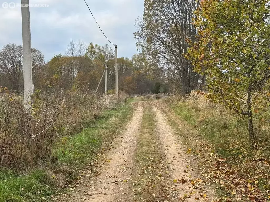 Дом в Псковская область, сельское поселение Себежское, деревня ... - Фото 2