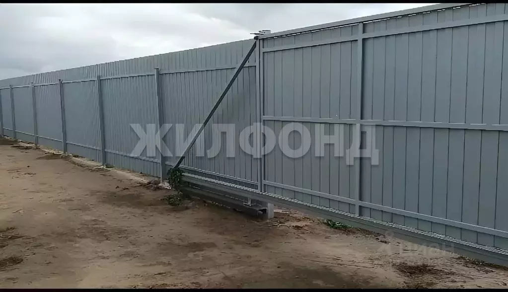 Участок в Новосибирская область, Новосибирский район, с. Криводановка, ... - Фото 2