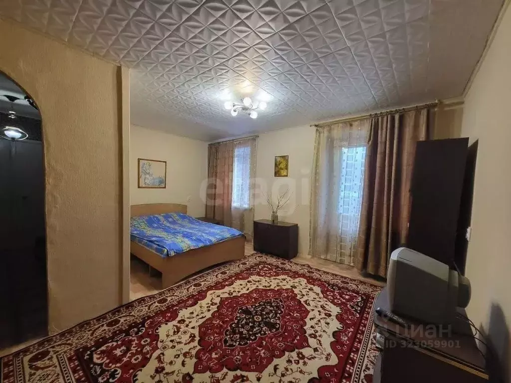 1-к кв. Красноярский край, Красноярск ул. Куйбышева, 87 (33.1 м) - Фото 1