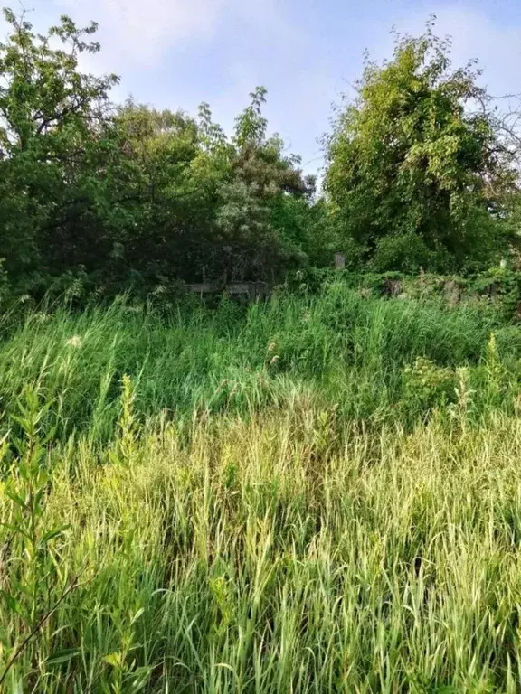 Участок в Челябинская область, Копейск Кировец садовые участки,  (4.46 ... - Фото 1