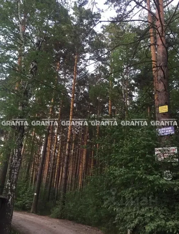 Участок в Красноярский край, Дивногорск городской округ, с. Овсянка ... - Фото 1