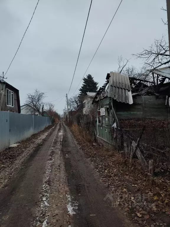 Участок в Воронежская область, Воронеж Калининец ДНТ, 7-я линия, 83 ... - Фото 0