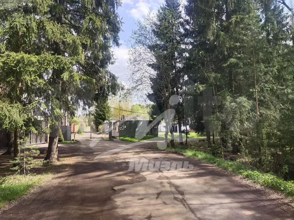 Участок 6 сот. (СНТ, ДНП) - Фото 0