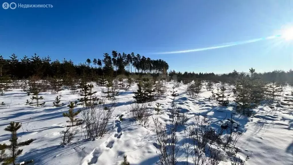 Участок в село Смоленка, микрорайон Добротный (2.5 м) - Фото 2