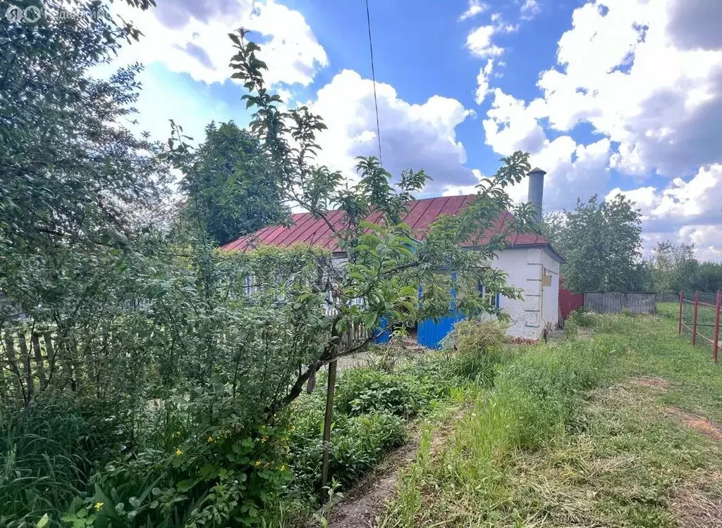Дом в Орёл, Лужковская улица (54.5 м) - Фото 1
