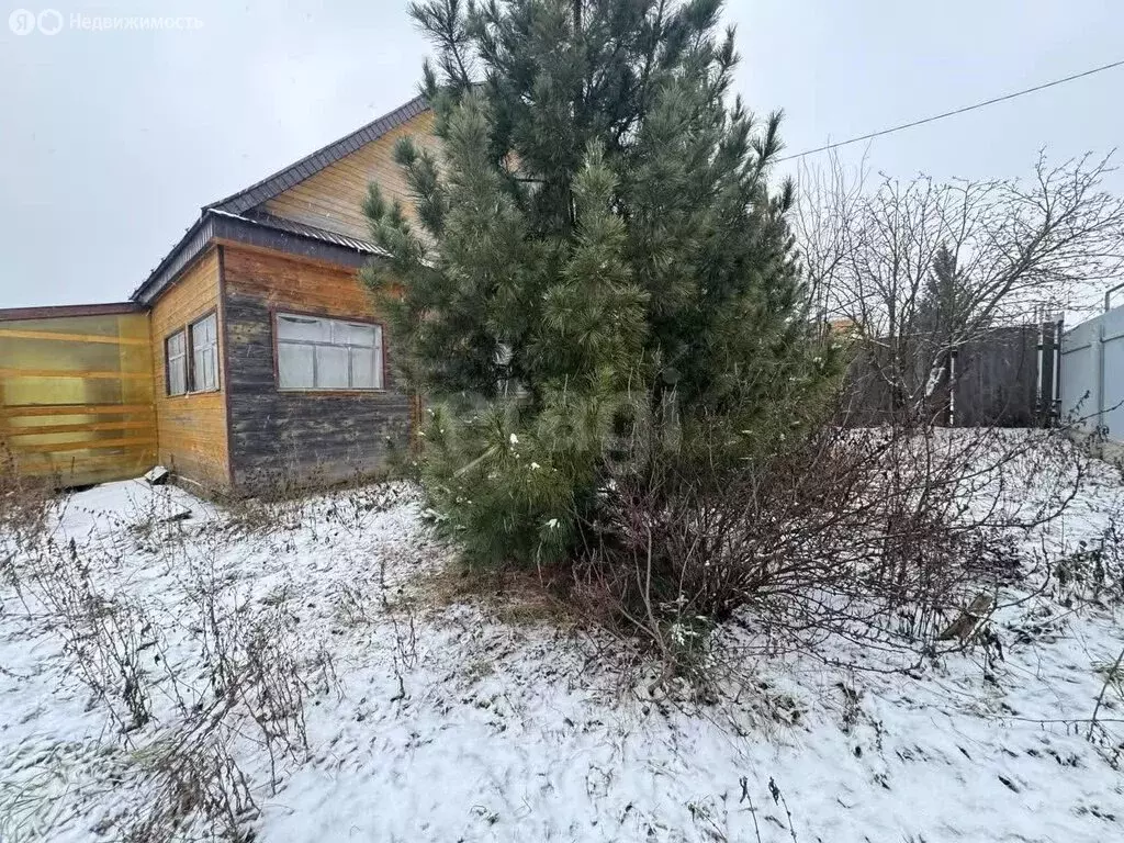 Дом в село Пановка, улица Чернышевского (50.4 м) - Фото 0