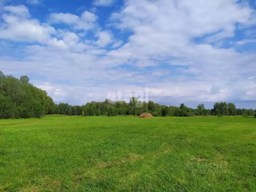 Участок в Новосибирская область, Коченево рп  (5000.0 сот.) - Фото 0