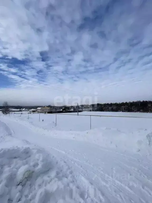 Участок в Пензенская область, Бессоновский район, Сосновский ... - Фото 0