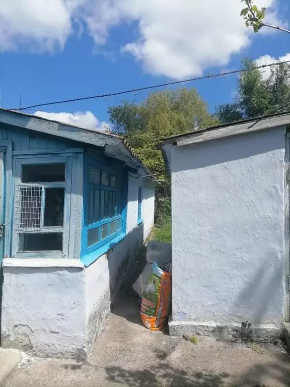 Дом в Крым, с. Ленинское ул. Ленина (45 м) - Фото 1