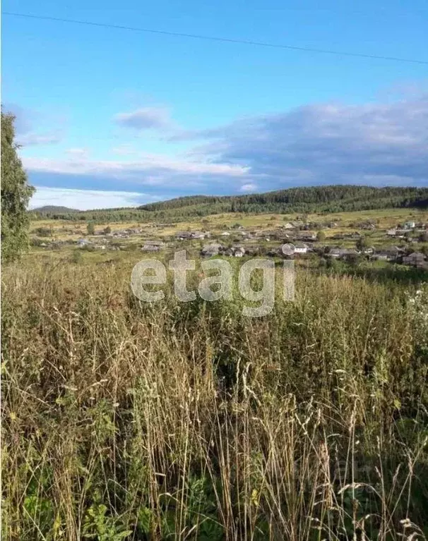 Участок в Свердловская область, Нижний Тагил муниципальный округ, с. ... - Фото 1