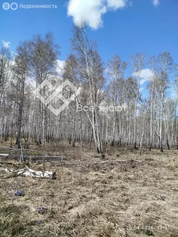 Участок в Челябинская область, Сосновский муниципальный округ, деревня ... - Фото 2