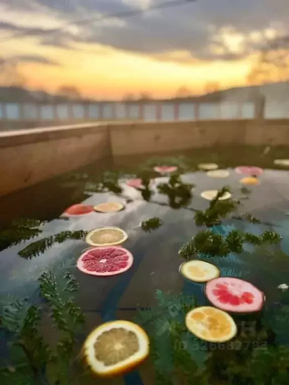 Дом в Приморский край, Шкотовский муниципальный округ, Смоляниново пгт ... - Фото 1