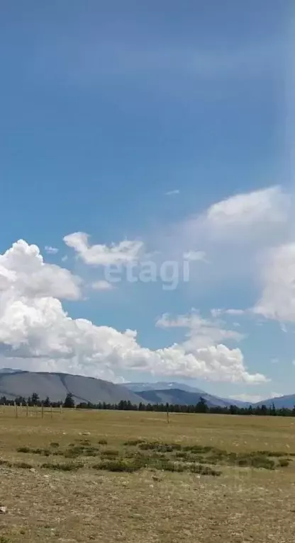 Участок в Алтай, Кош-Агачский район, с. Курай ул. Мира (16.0 сот.) - Фото 1