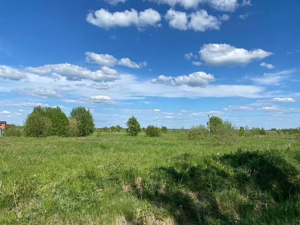 Участок в Новгородская область, Новгородский район, Савинское с/пос, ... - Фото 0