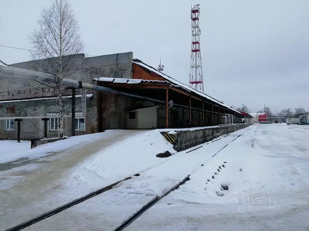 Склад в Ханты-Мансийский АО, Сургут Пионерная ул., 11/2 (1877 м) - Фото 1