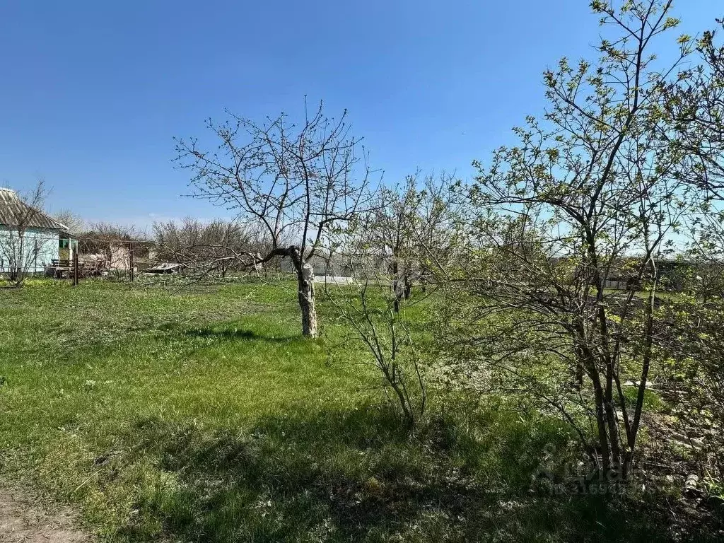 Участок в Белгородская область, Белгородский район, Разумное рп ул. ... - Фото 1