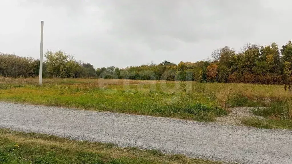 Участок в Воронежская область, Семилукский район, с. Землянск  (16.78 ... - Фото 1