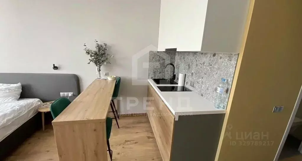 Студия Санкт-Петербург дор. На Турухтанные острова, 5к1 (22.3 м) - Фото 2