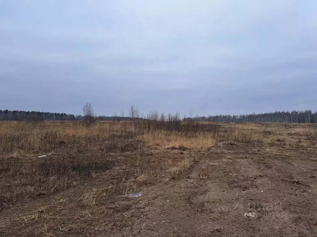 Участок в Московская область, Кашира Ожерелье мкр,  (12.02 сот.) - Фото 0