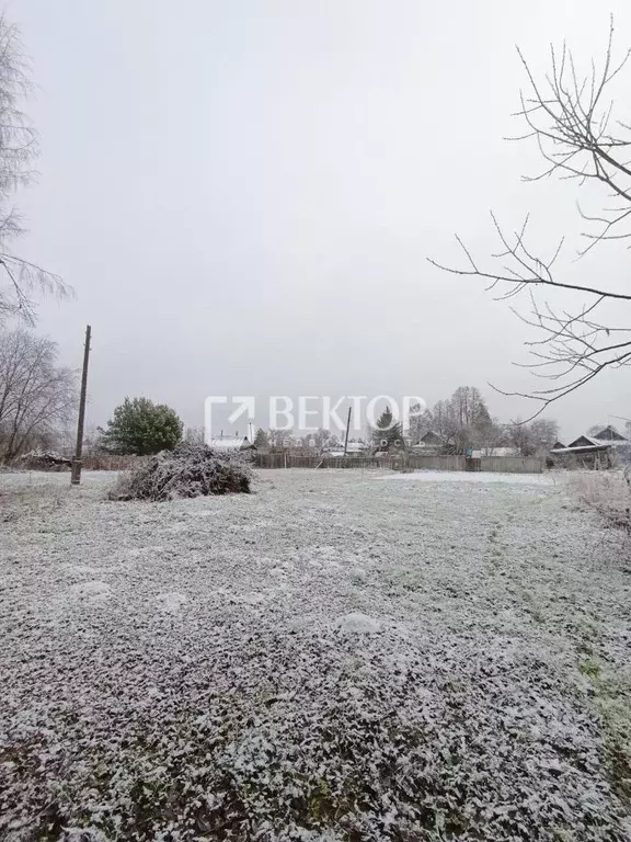 Участок в Костромская область, Костромской район, Чернопенское с/пос, ... - Фото 1